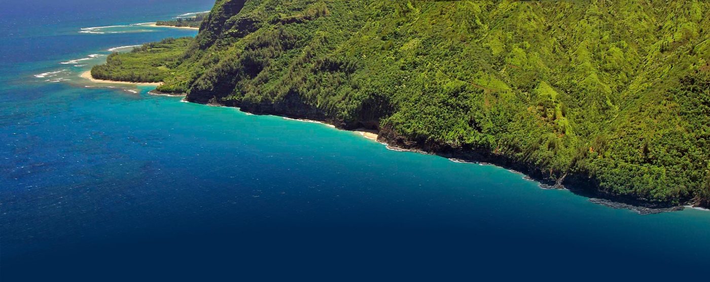 Wings Over Kauai Air Tours photo 2